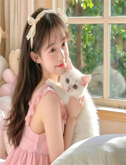 《我和我的司法》故事脉络梳理：主线与支线情节完整解读